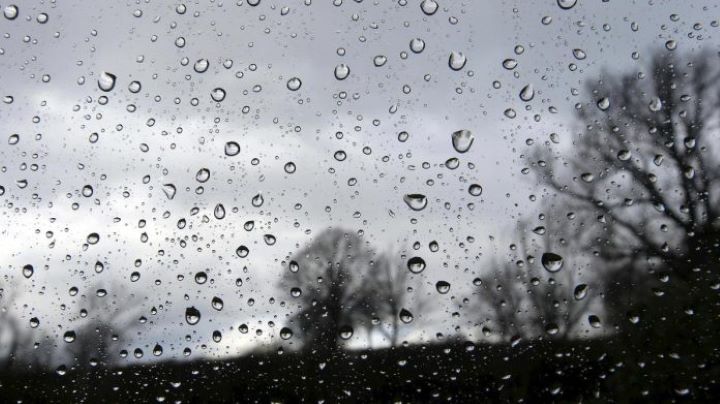Des pluies orageuses attendues dans plusieurs wilayas