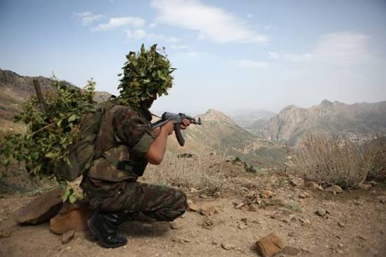 Tebessa: Un terroriste éliminé dans la zone de Jebel El-Abiodh